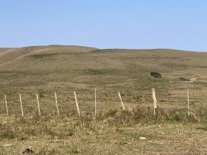 Campo en venta Tacuarembó, Cerro Travieso